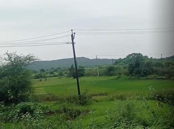  Agricultural Land 5 Bigha for Sale in Songadh, Tapi