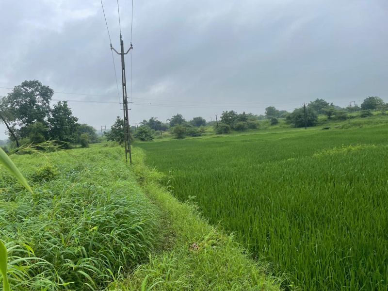  Agricultural Land 18 Bigha for Sale in Songadh, Tapi