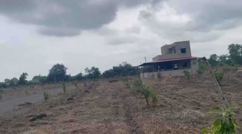  Agricultural Land 9 Bigha for Sale in Vyara, Tapi