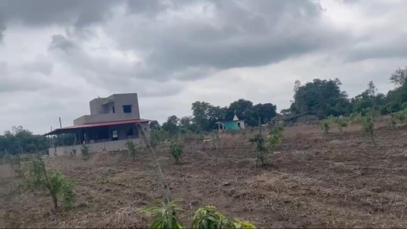  Agricultural Land 9 Bigha for Sale in Vyara, Tapi