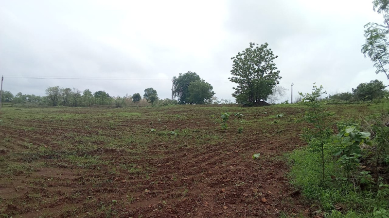  Agricultural Land 4 Bigha for Sale in Songadh, Tapi