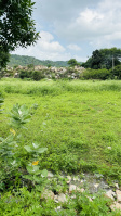  Residential Plot for Sale in Titardi, Udaipur