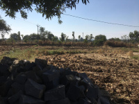  Agricultural Land for Sale in Chegunta, Medak