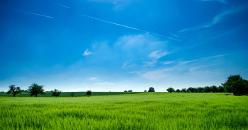  Residential Plot for Sale in Brahmavar, Udupi