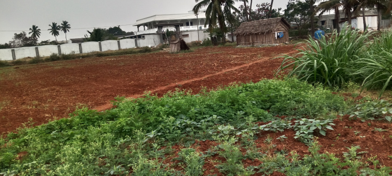  60 Cent Agricultural/Farm Land for Sale in Peedampalli, Coimbatore