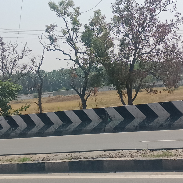  8 Acre Agricultural/Farm Land for Sale in Ondipudur, Coimbatore