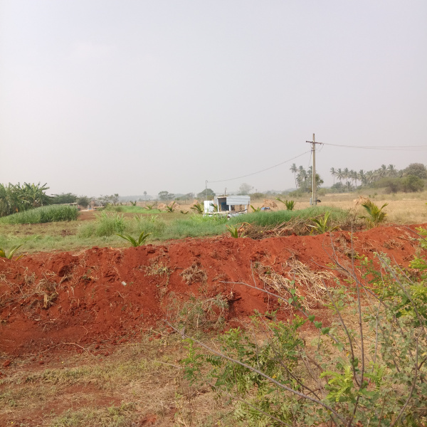  1 Acre Agricultural/Farm Land for Sale in L&T Bypass, Coimbatore