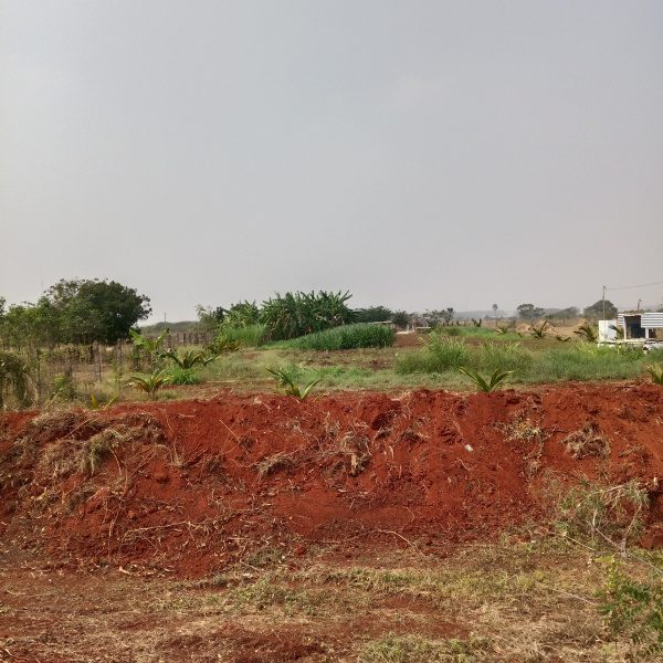  1 Acre Agricultural/Farm Land for Sale in L&T Bypass, Coimbatore
