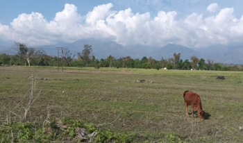  Commercial Land for Sale in Matour, Kangra