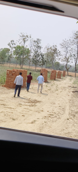  Residential Plot 1000 Sq.ft. for Sale in Kasia Bazaar, Kushinagar