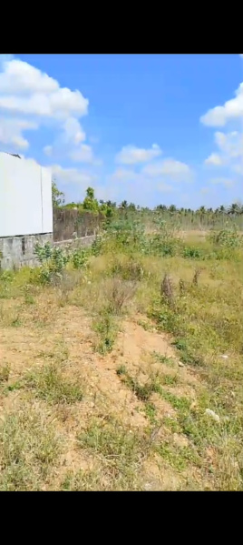 Agricultural Land 12 Cent for Sale in Kodumudi, Erode