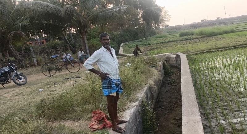  Agricultural Land 34 Guntha for Sale in Malavalli, Mandya