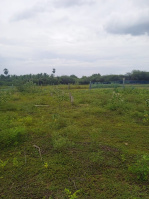  Residential Plot for Sale in Chittampatti, Madurai