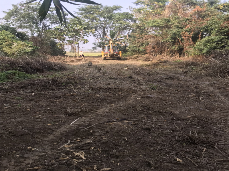  Residential Plot 5 Bigha for Sale in Lawkhowa Road, Nagaon