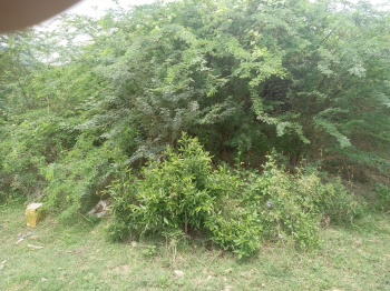  Residential Plot for Sale in Ussoor, Vellore