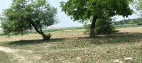  Residential Plot for Sale in Rajendra Nagar, Gorakhpur