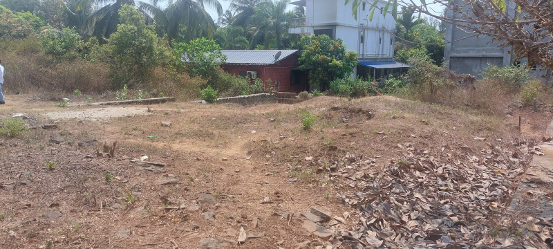  Residential Plot 3 Guntha for Sale in Kashid, Raigad