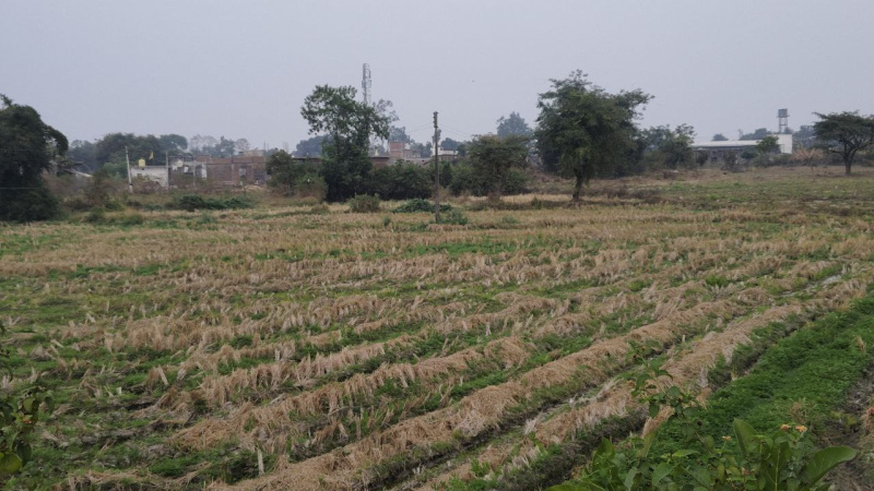 Commercial Land 4630 Sq.ft. for Sale in Ajni, Nagpur