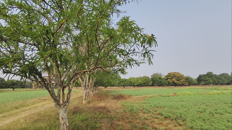  Commercial Land 4630 Sq.ft. for Sale in Ajni, Nagpur
