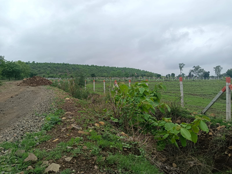  Agricultural Land 48000 Sq.ft. for Sale in Gomti Nagar, Dewas