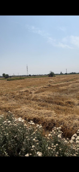  Residential Plot 10 Bigha for Sale in Banur, Mohali