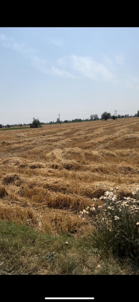  Residential Plot 10 Bigha for Sale in Banur, Mohali