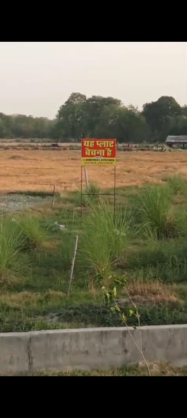  Agricultural Land 6 Biswa for Sale in Bighapur, Unnao
