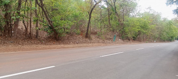  Agricultural Land for Sale in Mhasla, Raigad