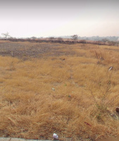  Agricultural Land for Sale in Wadebolai, Pune