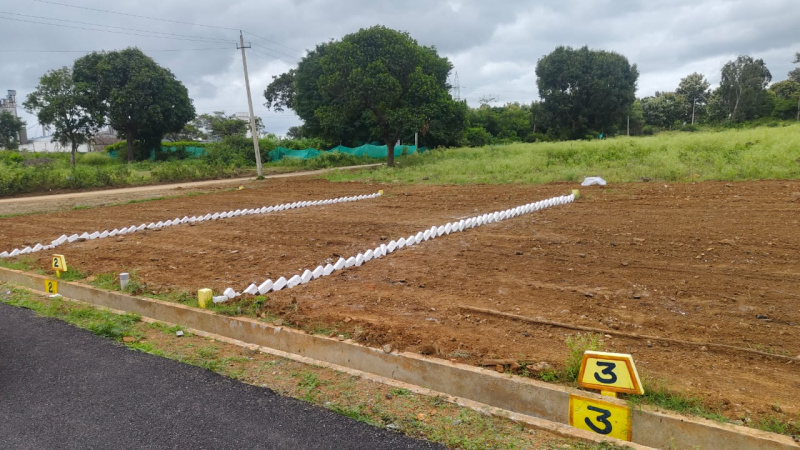  Residential Plot 1200 Sq.ft. for Sale in Nelamangala, Bangalore