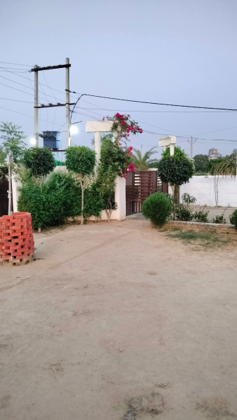  Residential Plot 1000 Sq.ft. for Sale in Sitapur Road, Sitapur Road, Lucknow
