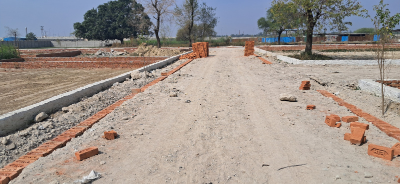  800 Sq.ft. Residential Plot for Sale in Daud Nagar, Lucknow