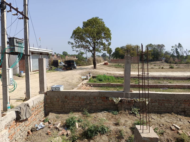  800 Sq.ft. Residential Plot for Sale in Kalli Paschim, Lucknow