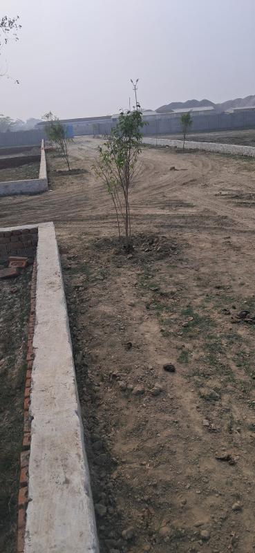  800 Sq.ft. Residential Plot for Sale in Nagram Road, Lucknow