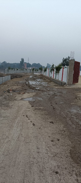  1000 Sq.ft. Residential Plot for Sale in Sevai, Lucknow