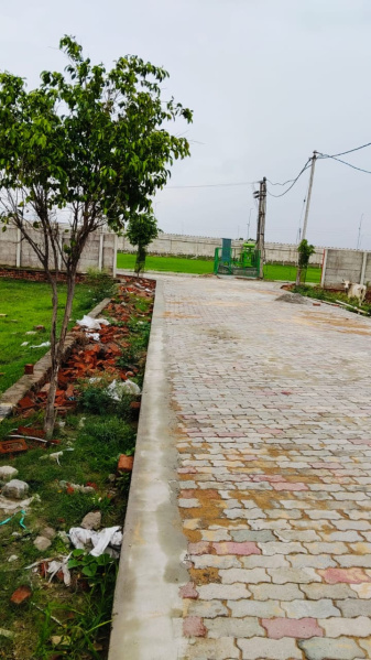  1000 Sq.ft. Residential Plot for Sale in Nagram Road, Lucknow