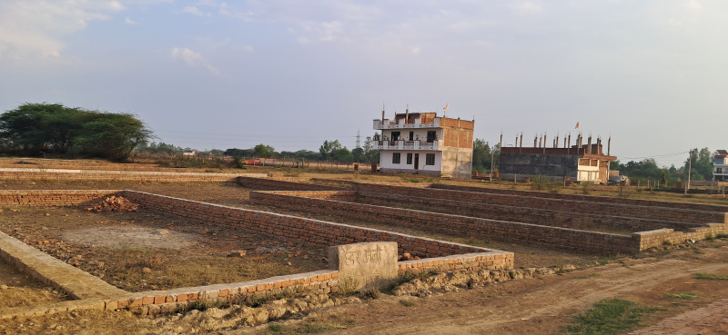  1000 Sq.ft. Residential Plot for Sale in Daud Nagar, Lucknow