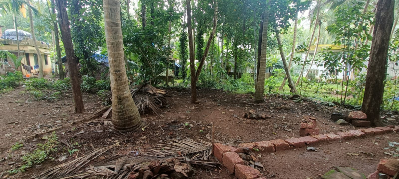  Residential Plot 12 Cent for Sale in Manakkadavu Road, Kozhikode