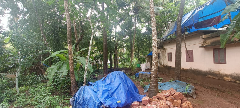  Residential Plot 12 Cent for Sale in Manakkadavu Road, Kozhikode