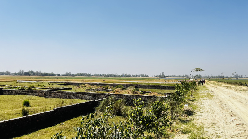  Residential Plot 800 Sq.ft. for Sale in Jangal Kauria, Gorakhpur