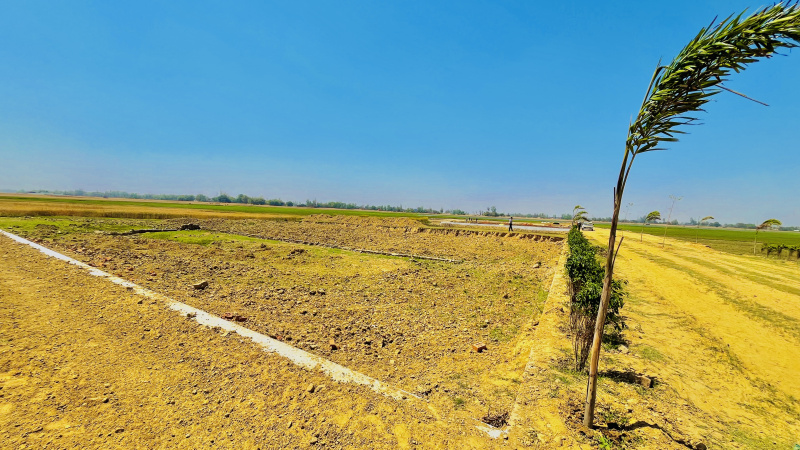  Residential Plot 800 Sq.ft. for Sale in Jangal Kauria, Gorakhpur