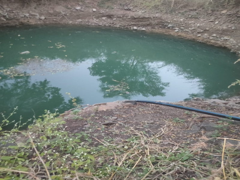  Agricultural Land 5 Acre for Sale in Pangaon, Latur