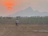  Agricultural Land for Sale in Sumerpur Pali