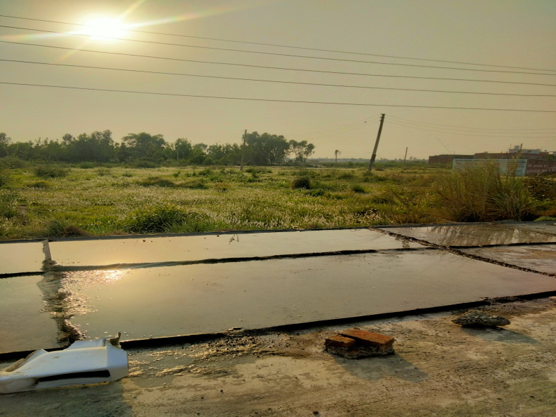  Residential Plot 100 Sq.ft. for Sale in Kichha, Udham Singh Nagar