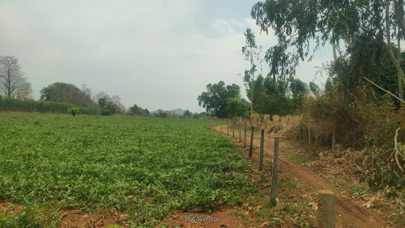  Agricultural Land 38 Acre for Sale in Patnagarh, Balangir
