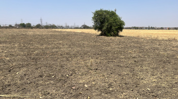  Agricultural Land for Sale in Sukhi Sewania, Bhopal