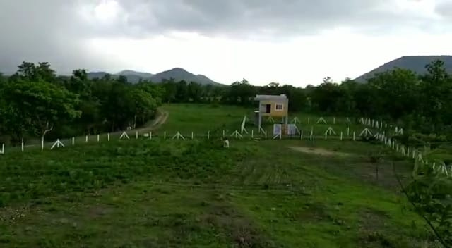  Residential Plot 4000 Sq.ft. for Sale in Khandwa Road, Indore