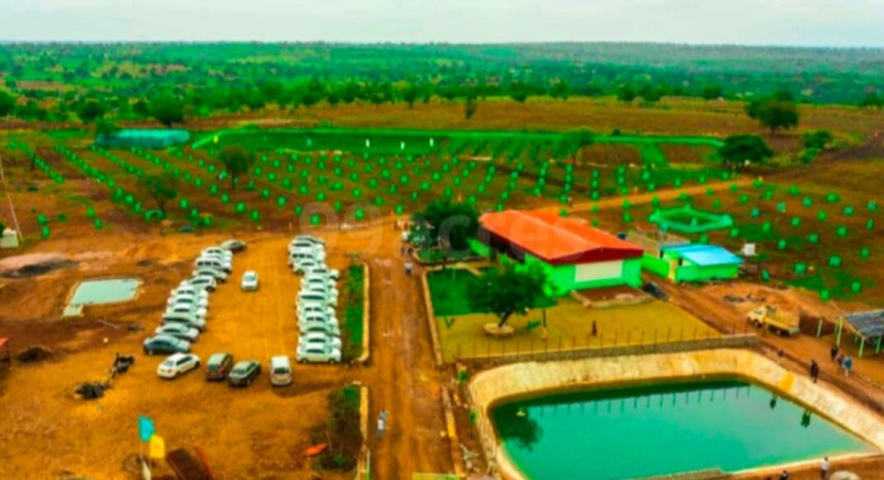  Agricultural Land 5445 Sq.ft. for Sale in Narayankhed, Sangareddy