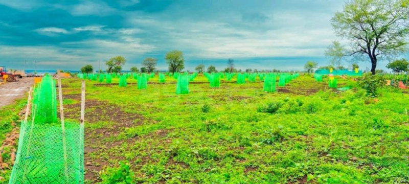  Agricultural Land 5445 Sq.ft. for Sale in Narayankhed, Sangareddy