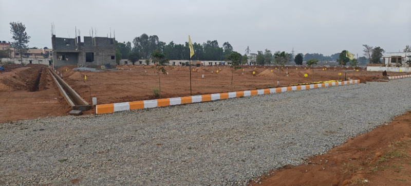  Residential Plot 1200 Sq.ft. for Sale in Hoskote Malur Road, Bangalore